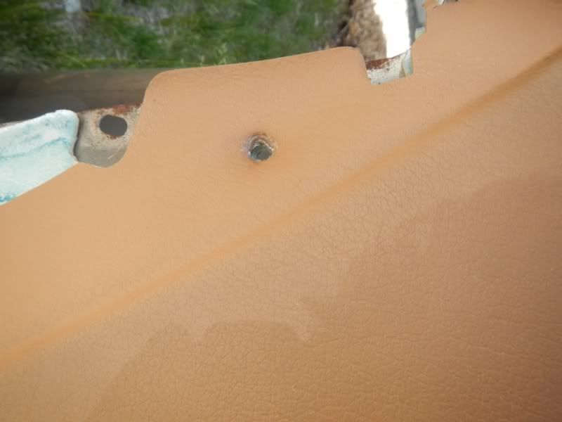 SEM vinyl and leather paint review